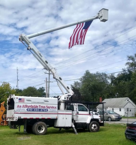 an affordable tree service truck with american flag severna park md