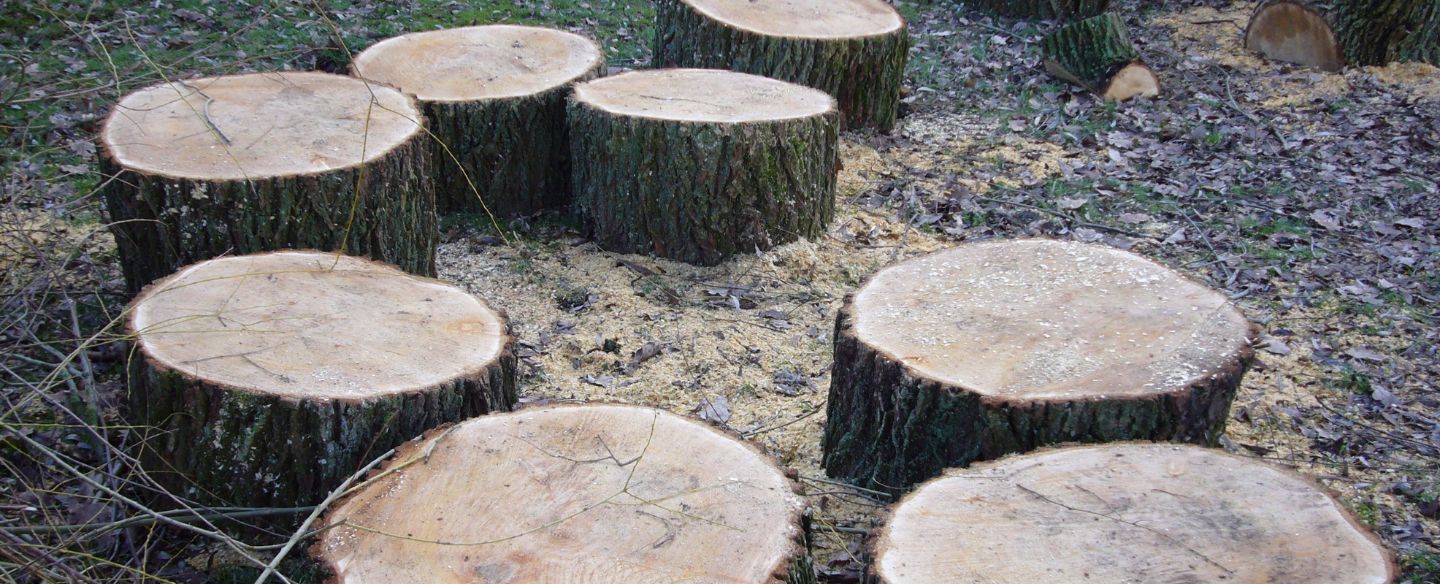 tree stumps severna park md